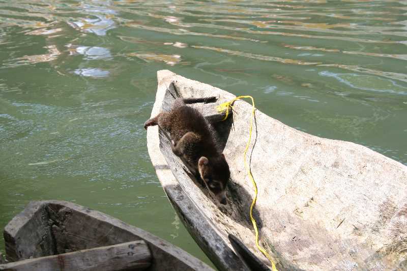 Mexico & Guatemala 2010 - 0968